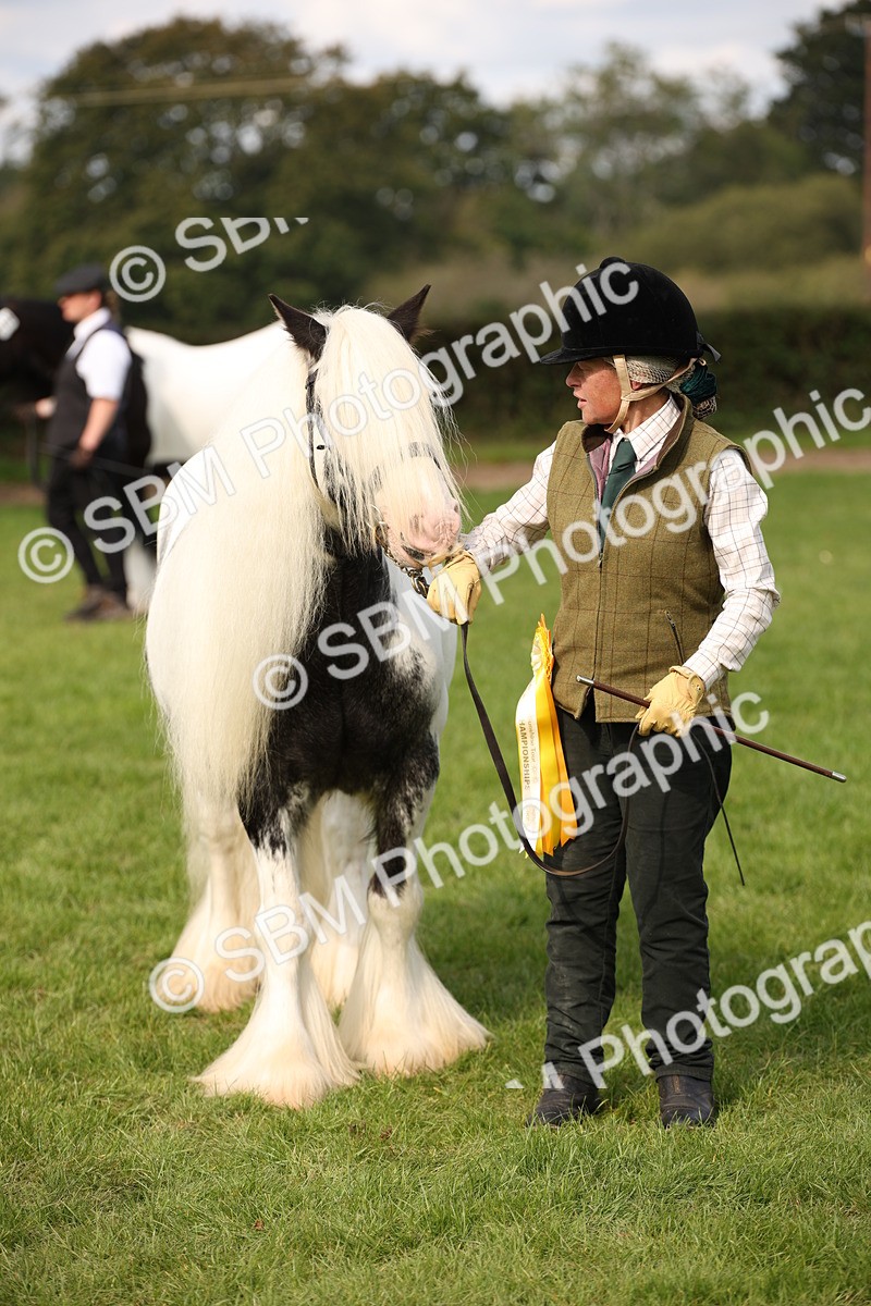 SBM_62317 - S55 - Traditional Cob In Hand