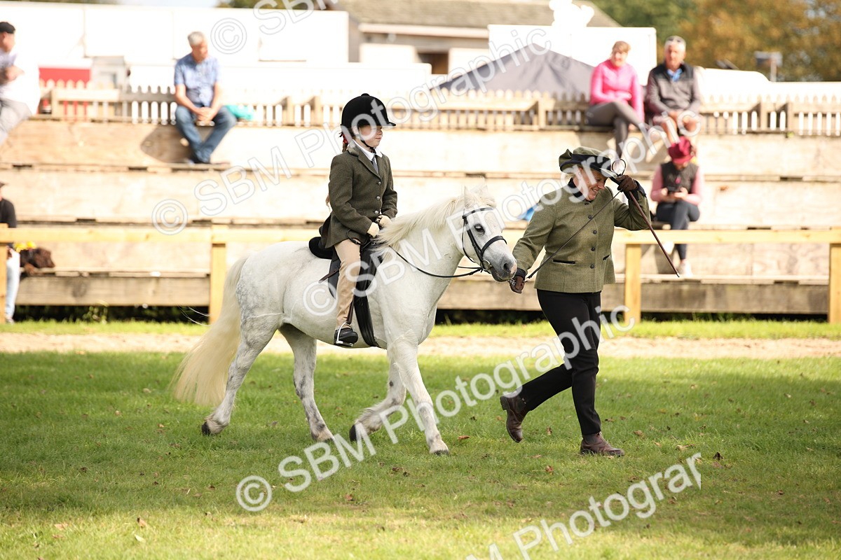 SBM_50032 - S26 - Young Veteran - Ridden