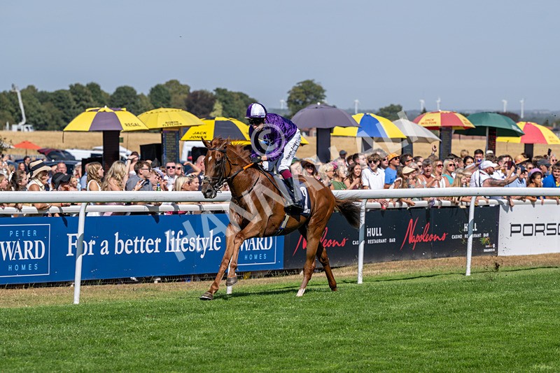 120826-Race 2-Empire Rising-5641 - Race 2 14.45pm 911 At Porsche Centre Hull EBF Restricted Maiden Stakes