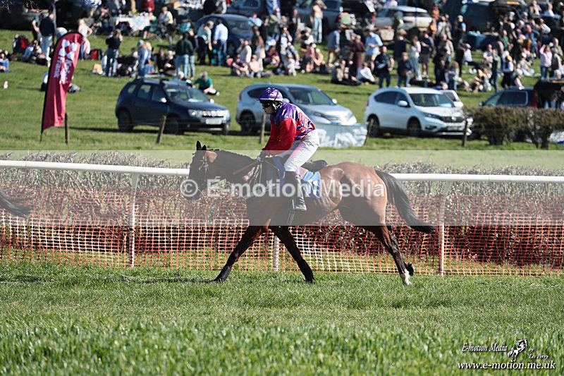 PtP 210326 283 - VWH Cirencester Races 21/03/26