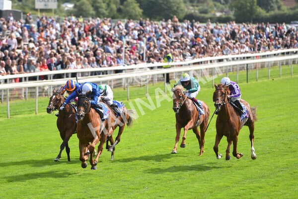 yr18082021r3-71 - Race 3 3.00pm Sky Bet Great Voltigeur Stakes