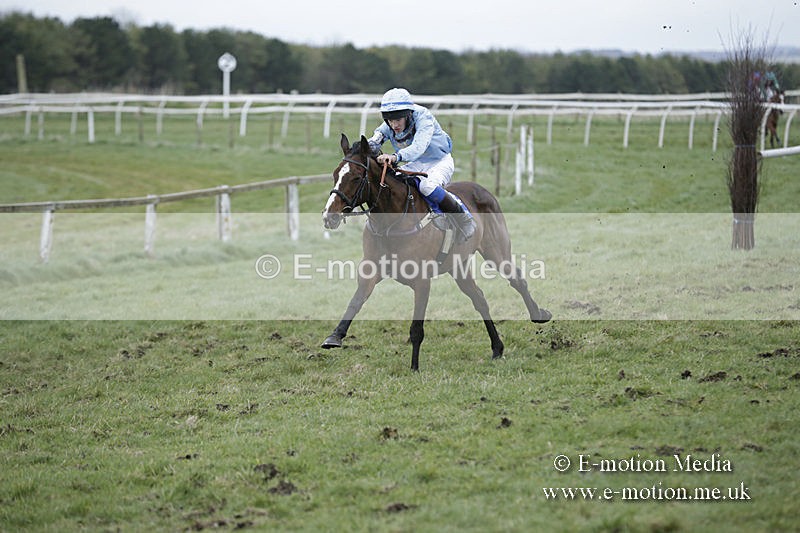 PtP 150320 0888 - New Forest Point-to-Point Larkhill 15/03/20