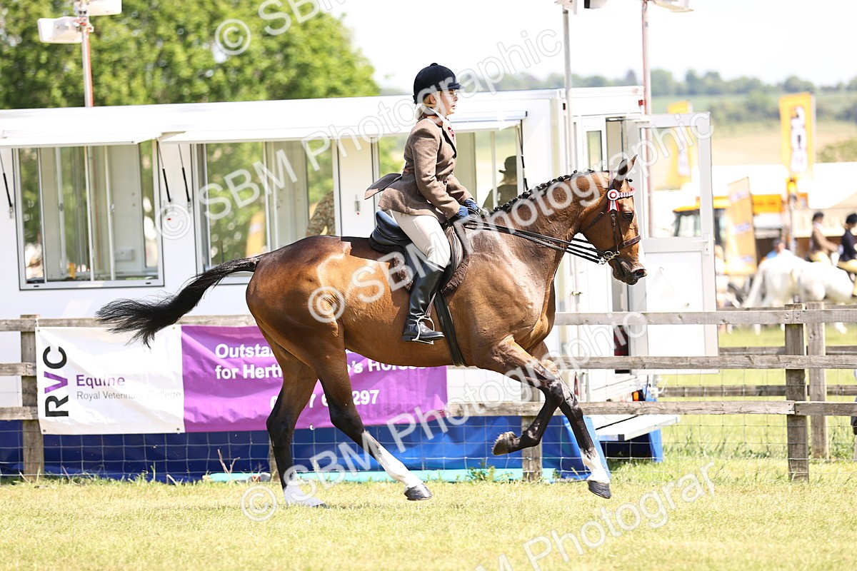 SBM_14947 - Class 78 - LIHS BSHA Open Racehorse & Show Horse