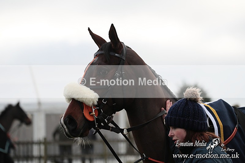 PtP 291224 40 - Harkaway Club PtP Chaddesley Corbett 29/12/24