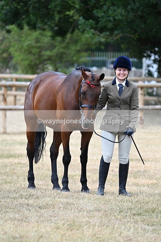 WJ7_1841 - Class 4a Prettiest Mare 14.2hh and over hand