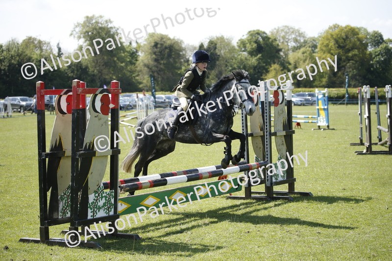 20250427-2320 - Class 13 - Novice Jumping 60cm