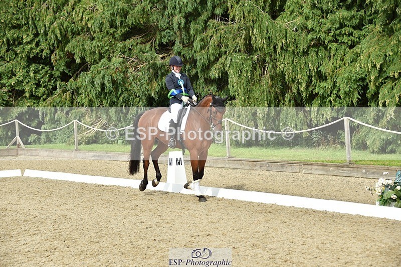 230812-160954-05454 - Novice Bronze Presentations