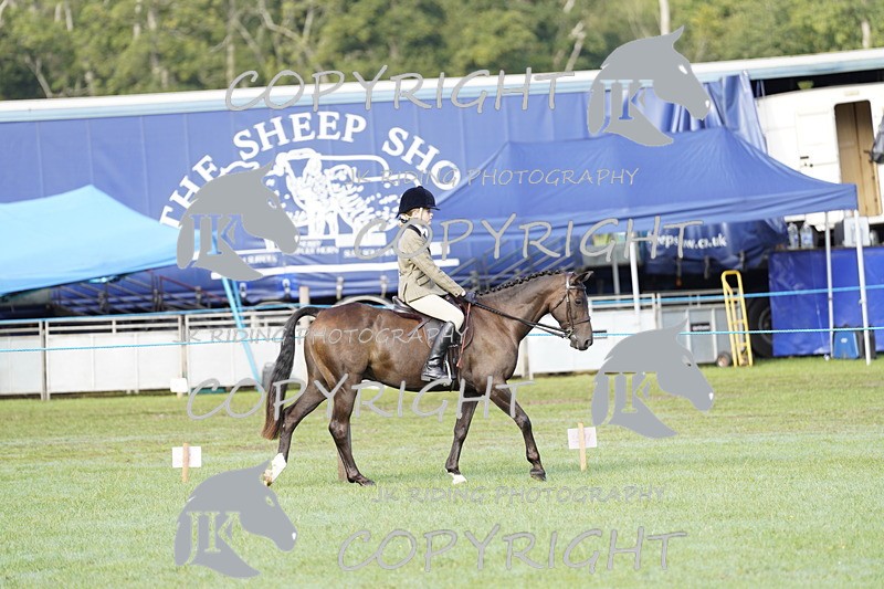 _DSC9297 - Class 8 & 17 Ridden Hunter & Ridden Hunter Pony