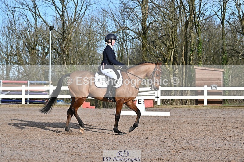 250125-101815-00151 - Dressage - CT Class 4 BE95 (80cm)