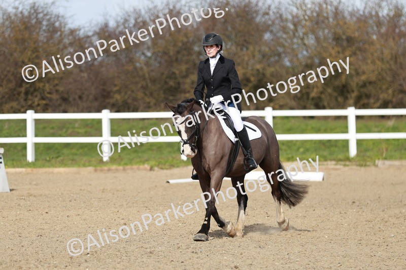 20260314-2943 - DR3 - Prelim 1