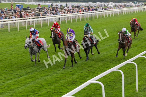 100923-Pony Race 2-3704 - Pony Race 2 12.45 The Dragon (TV and Film) Studios Pony Race 148cm & Under