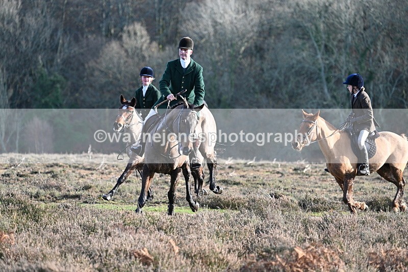 WJ7_7956 - Line 3 (no line 4 or 5)