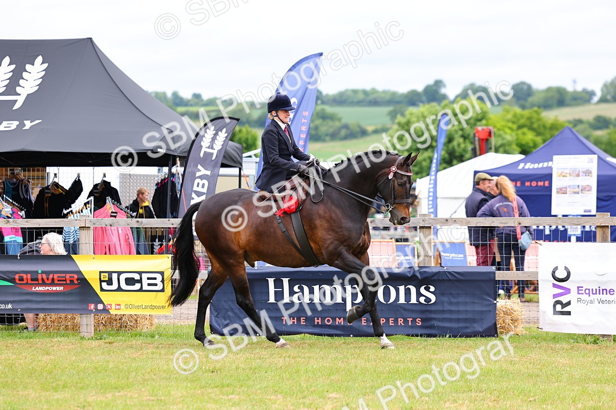 SBM_02979 - Class 9-11 Side Saddle including LIHS Rising Star Ladies Show Horse
