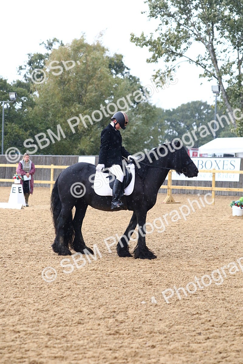 SBM_42842 - D21 - Junior Championship Intro 1