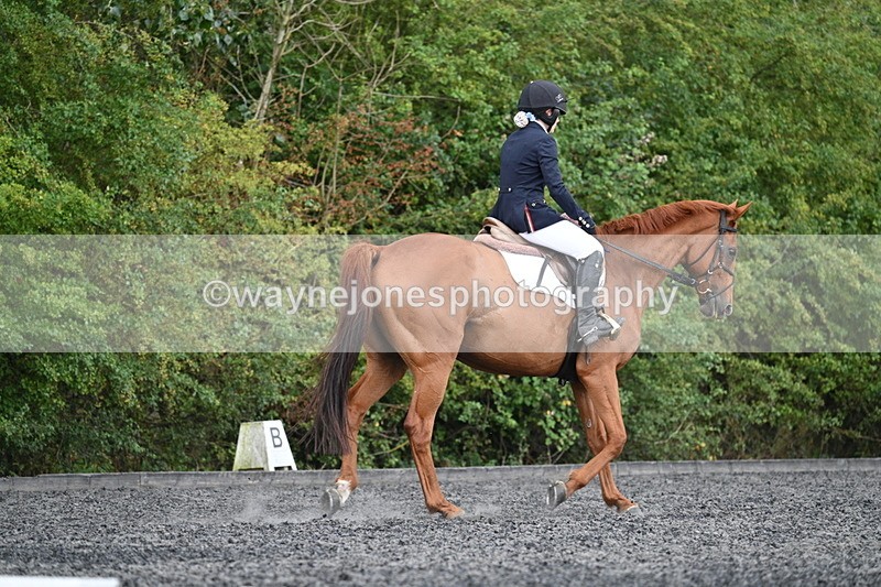 WJ7_7858 - Time 13:40 to 14:00