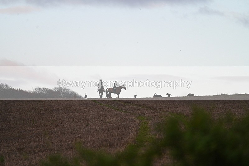 WJ7_9782 - Camera 1 & Last fence