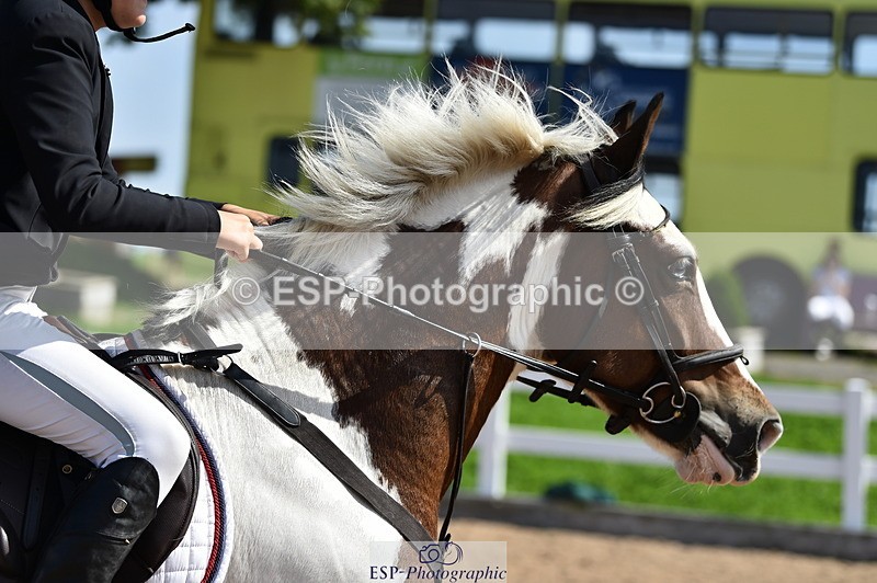 230903A-124950-04554 - Cls 19 Pony Discovery & 90cm Open