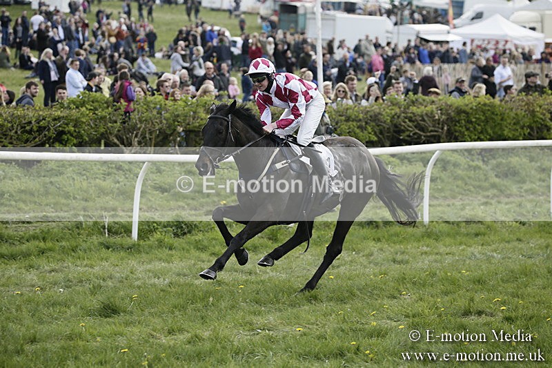 PtP 170417 364 - Old Berks Point-to-Point Lockinge 17/04/17