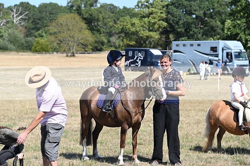 WJ6_9359 - Class 40 Cheekiest Pony/Horse