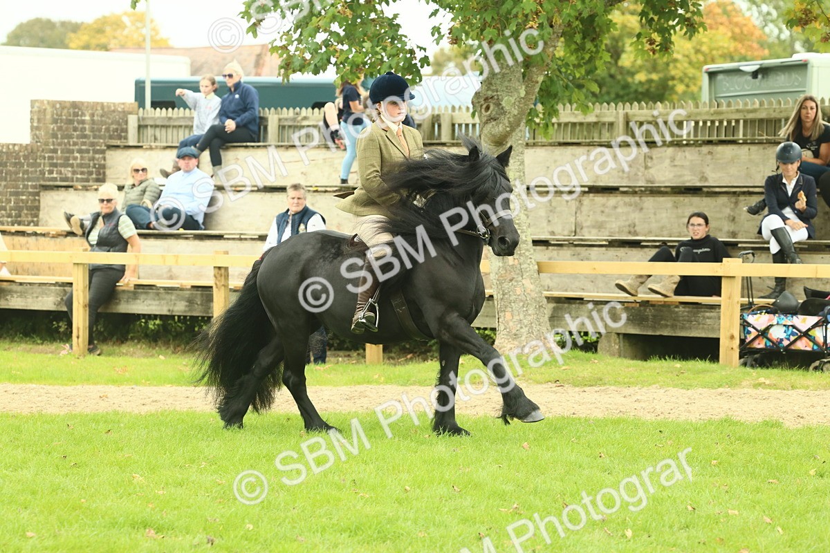 SBM_71940 - S60 - Mountain & Moorland Ridden Large Breeds