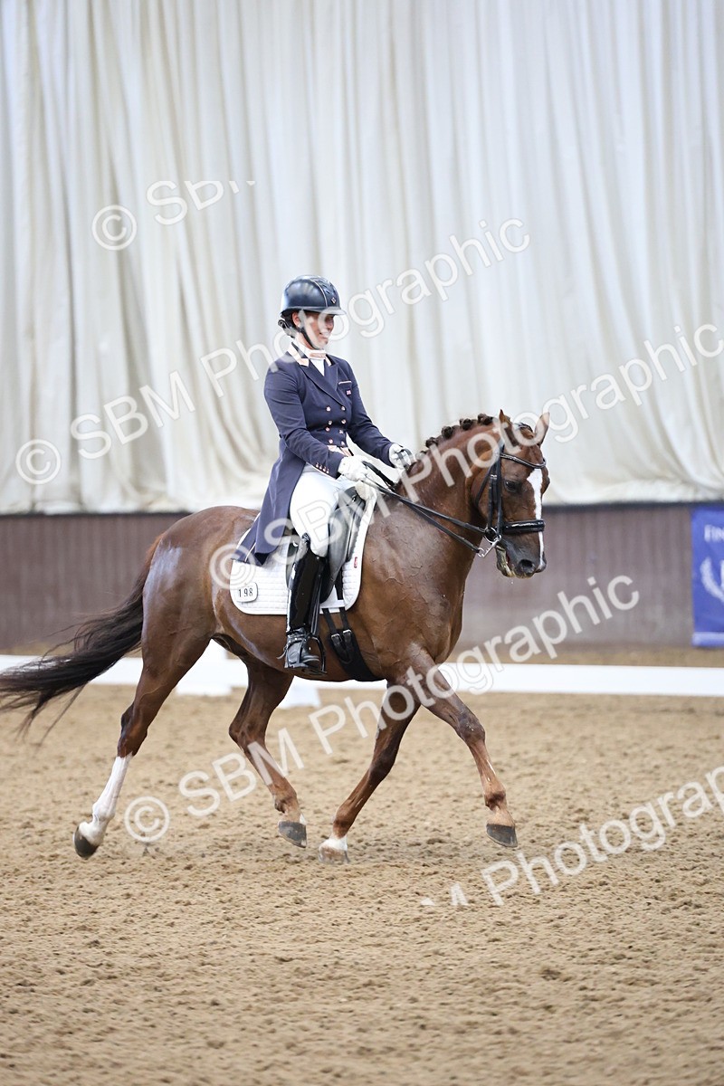 SBM_004865 - Class 9 - FEI Inter 1 Gold - 16.59-17.47