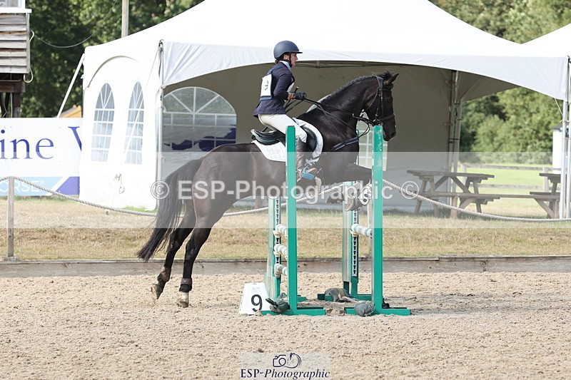 250803A-170559-17737 - S-869-Alice.Lamming-THE.DARK.HORSE.I