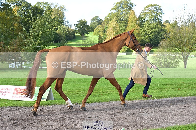 241023-130939-00106 - 054-Matthew.Heath-DASSETT.VENTURE