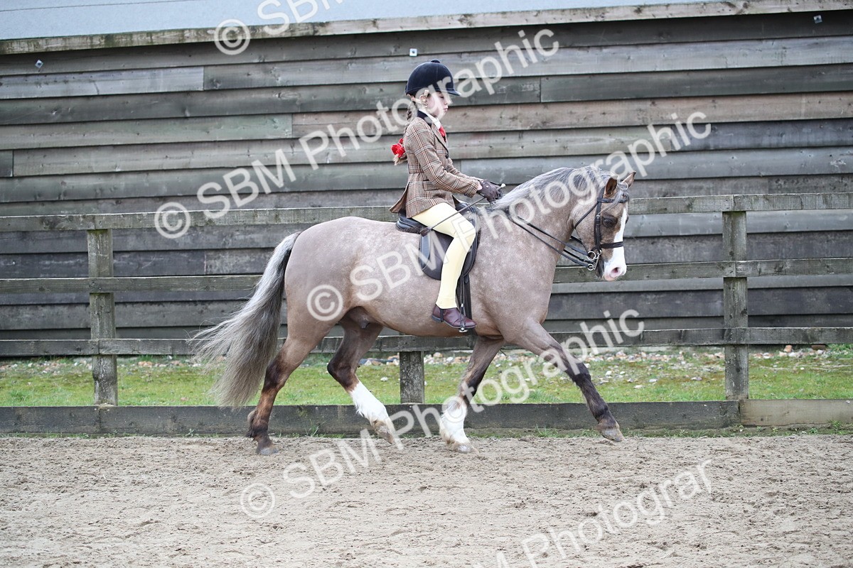 SBM_005888 - Class 10-13 - RIHS Small Large Breeds