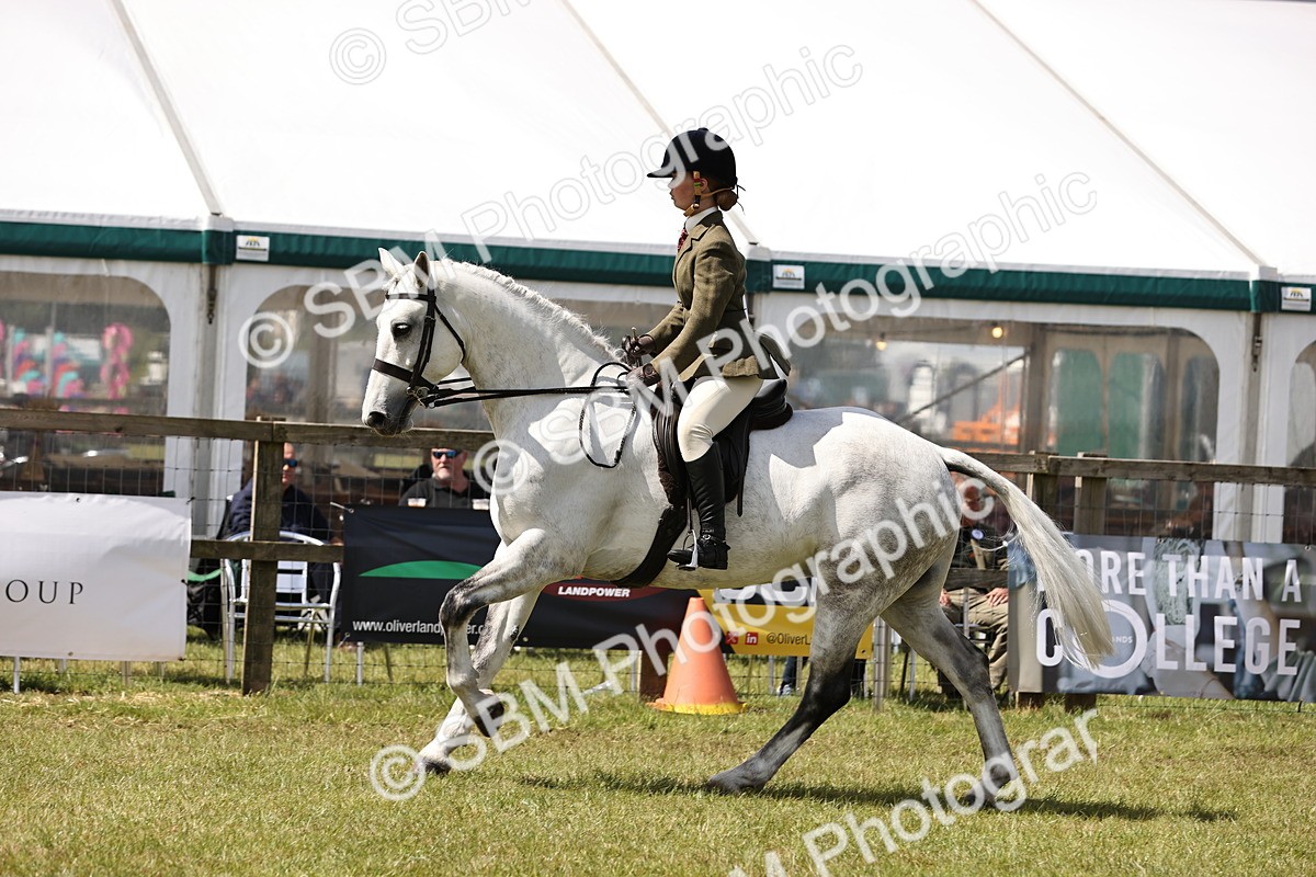 SBM_14545 - Class 88-89 - LIHS BSHA Rising Star of Ridden Hunter Type