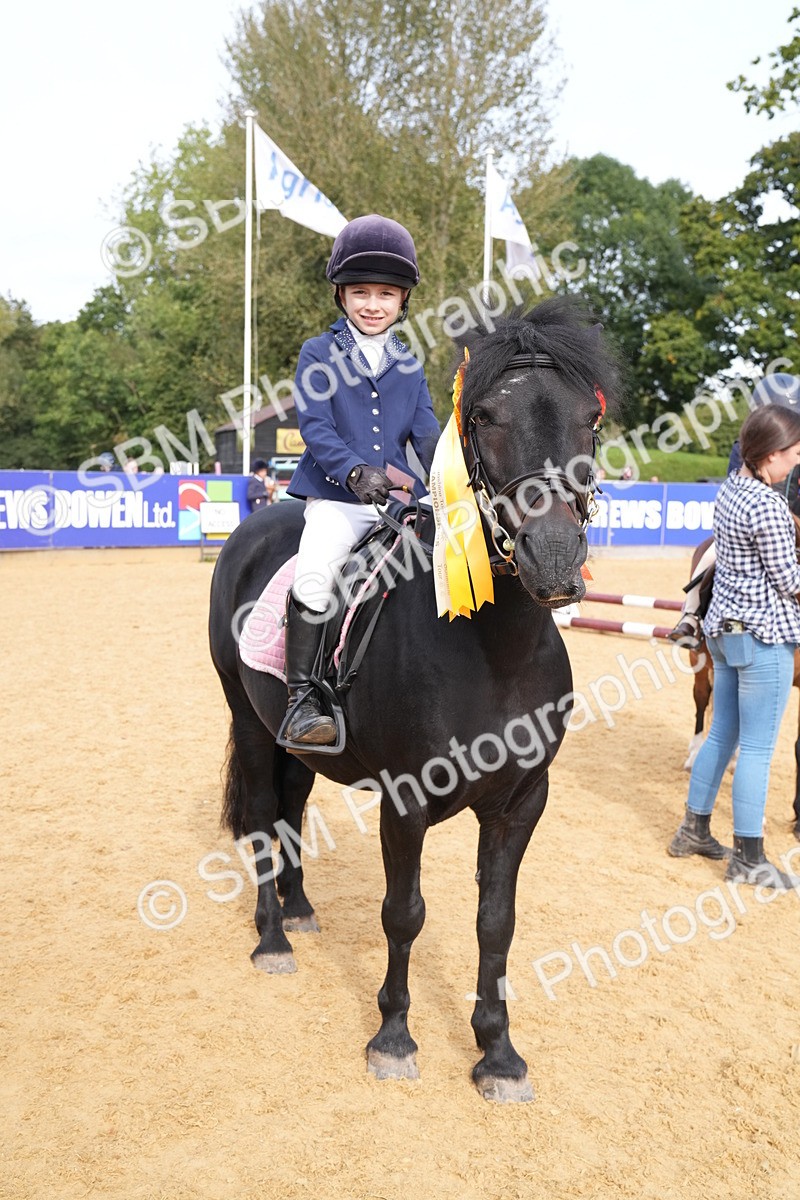 SBM_70492 - J3 - Mini Tour Junior Pony 40cm Championship
