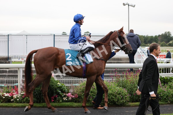 yr22072022r6-3 - Race 6 7.50pm Gallop Racing Stakes