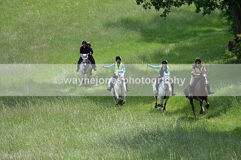 WJ7_8675 - Group 3 10:45am