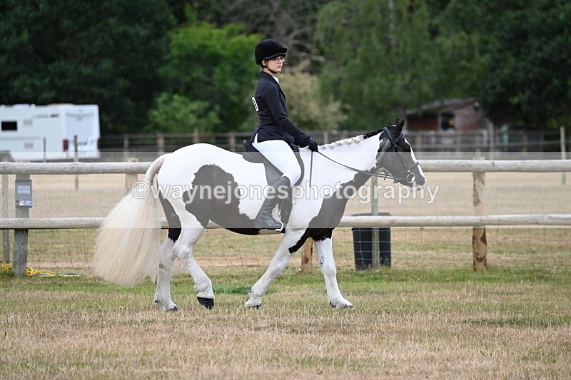 WJ6_3732 - Class 9 Tack & Turnout