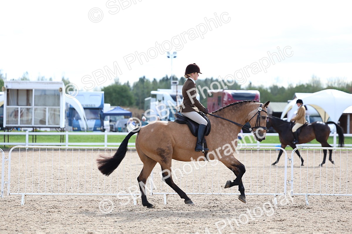 SBM_17132 - Class 315 - Best Horse - Rider Combination