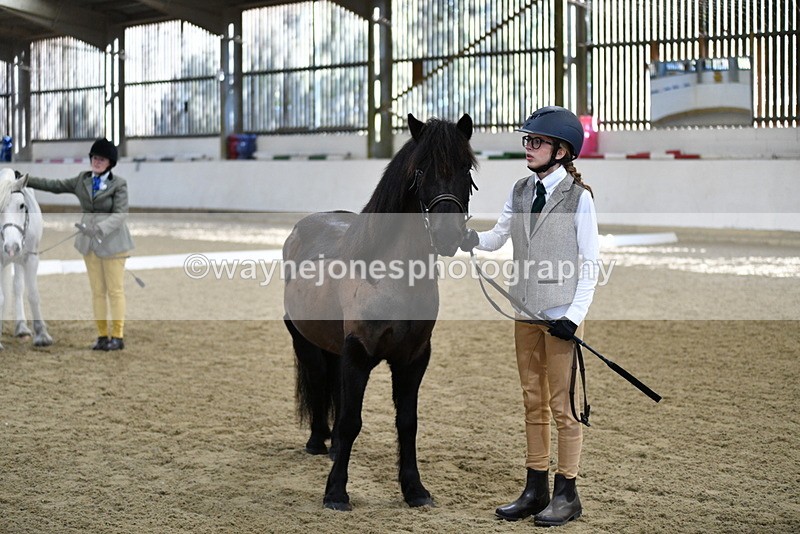 WJ5_3996 - Class 2 Best Condition In hand