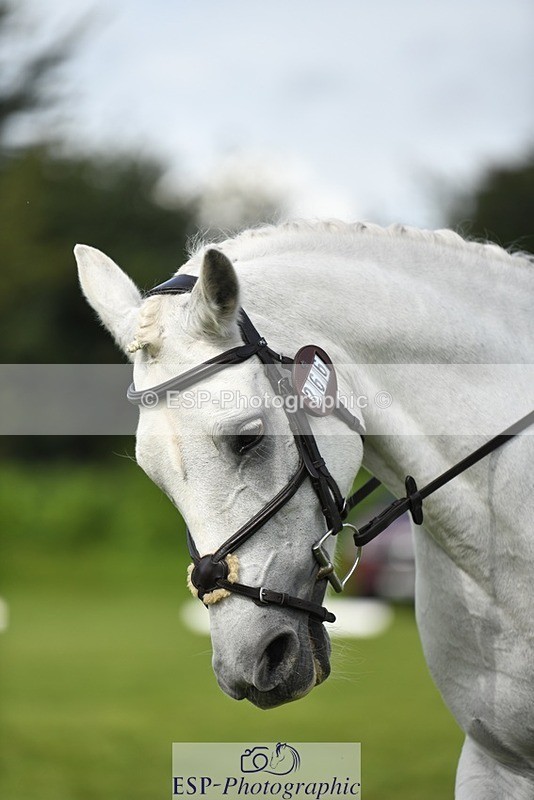 230826-104326-15582 - Sections C & D 10 to End