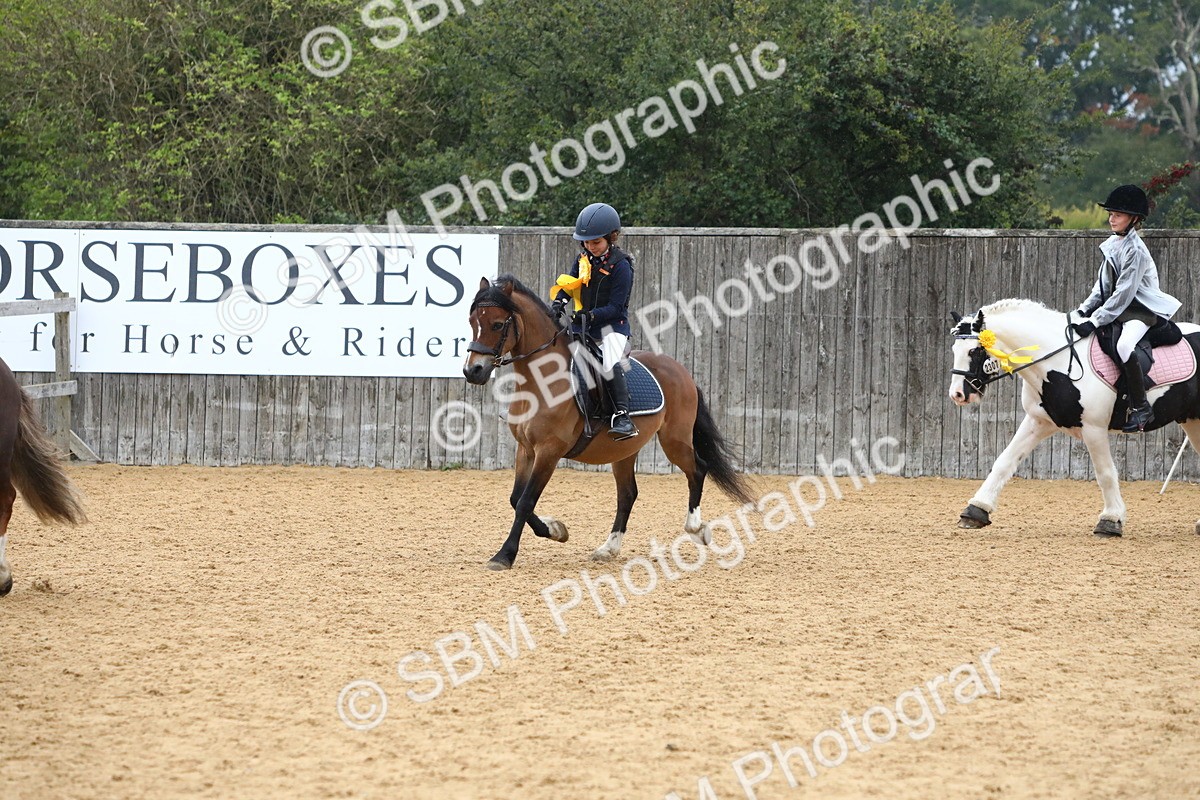 SBM_72133 - J3b - Mini Tour Junior Pony 40cm Championship