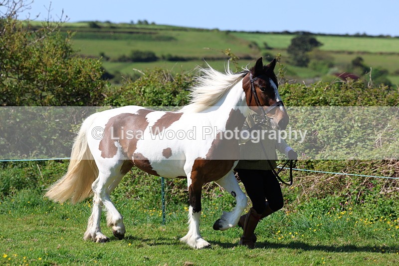 3E7A9352 - Class 16: Best Grass Kept