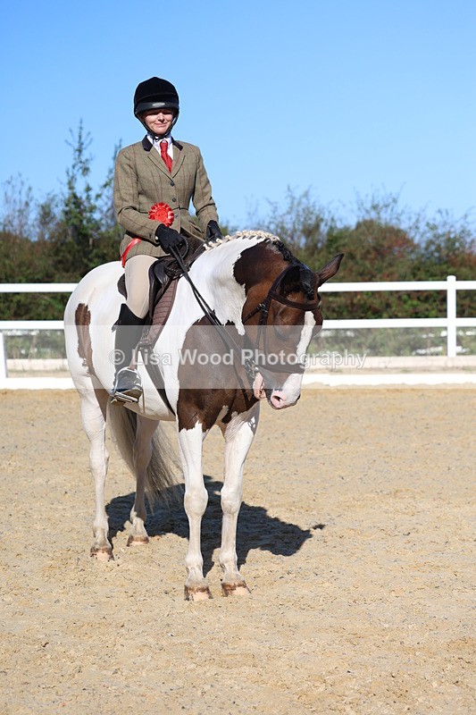 3E7A5337 - Class 8: Small Ridden Hunter