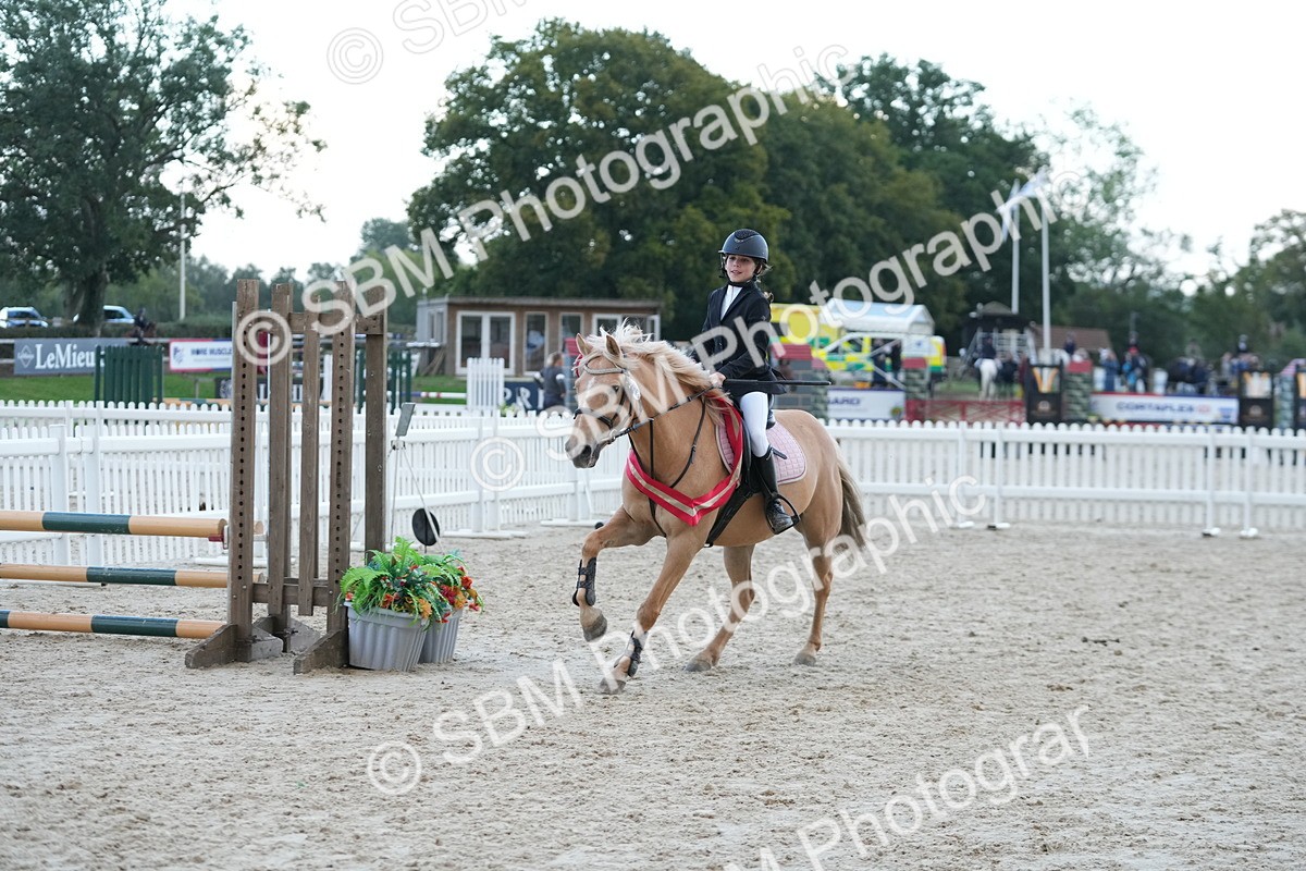 SBM_54268 - Supreme Championship 60cm 65cm