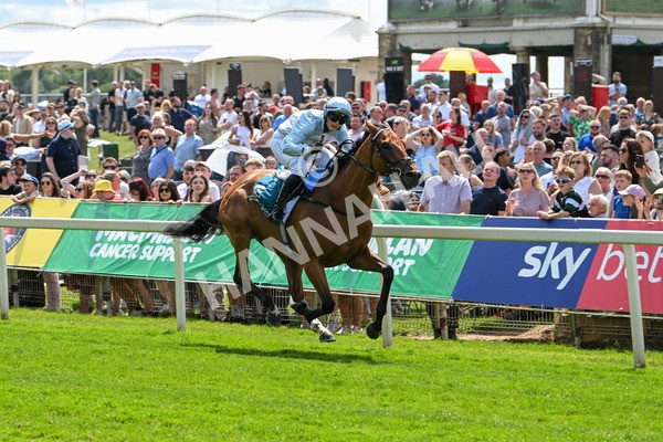 140625-Race 2-My Dream World-2318 - Race 2 2.25pm Queen Mother's Cup Handicap