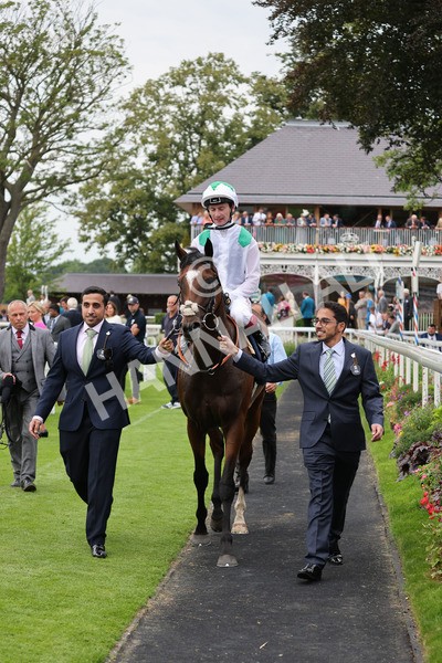 yr20082021r5-36 - Race 5 4.10pm British Stallion Studs EBF Convivial Maiden Stakes (Plus 10 Race)