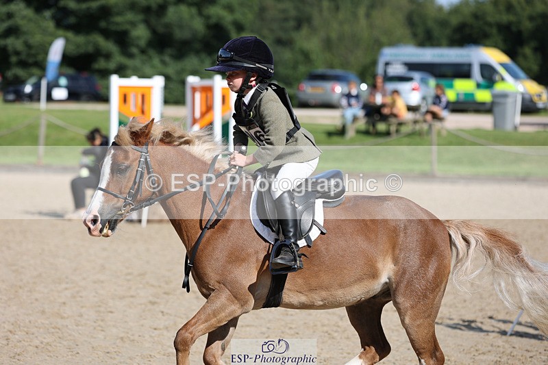 240823X-100820-15373 - 60cm R1 10.00 to 11.30