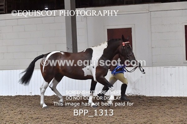 BPP_1313 - RING 2