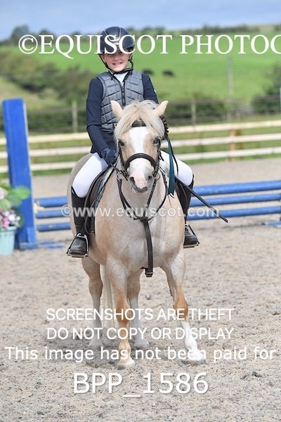 BPP_1586 - DERBY CLASS 3 - 40CM