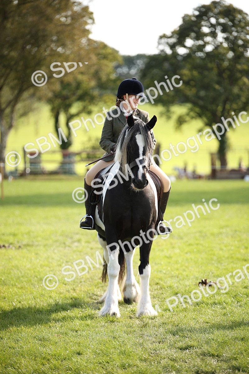 SBM_50131 - S26 - Young Veteran - Ridden