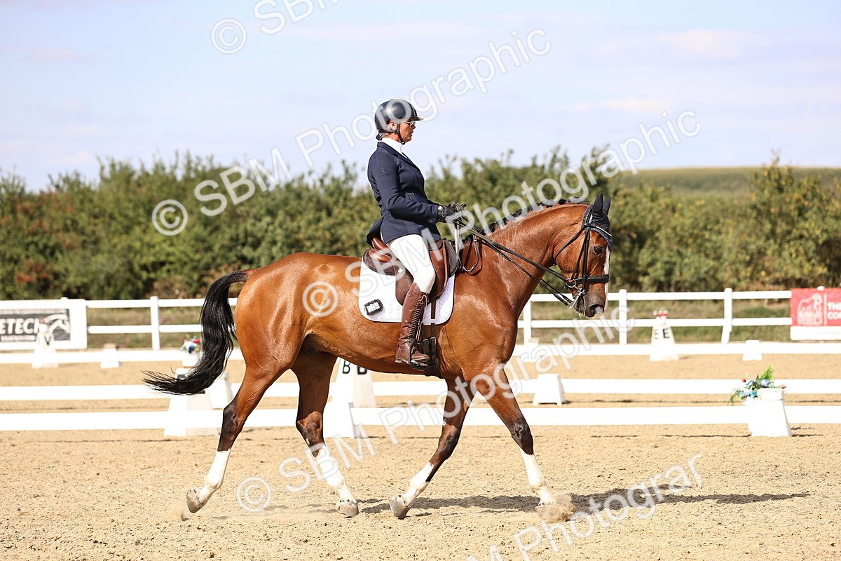 SBM_015212 - Class 8 - Medium 5