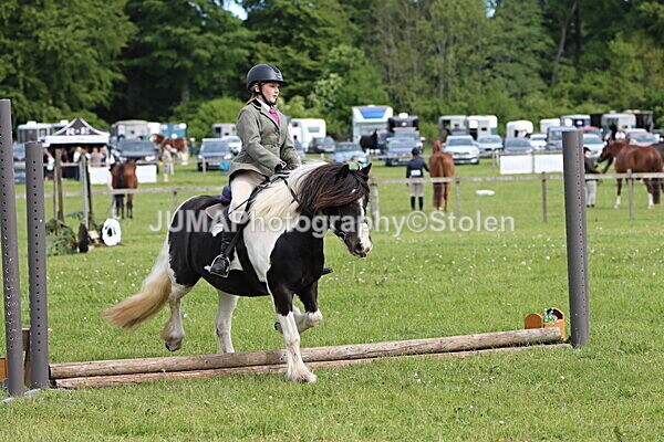 IMG_2380 - Working Hunter