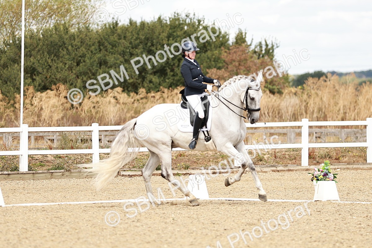 SBM_009542