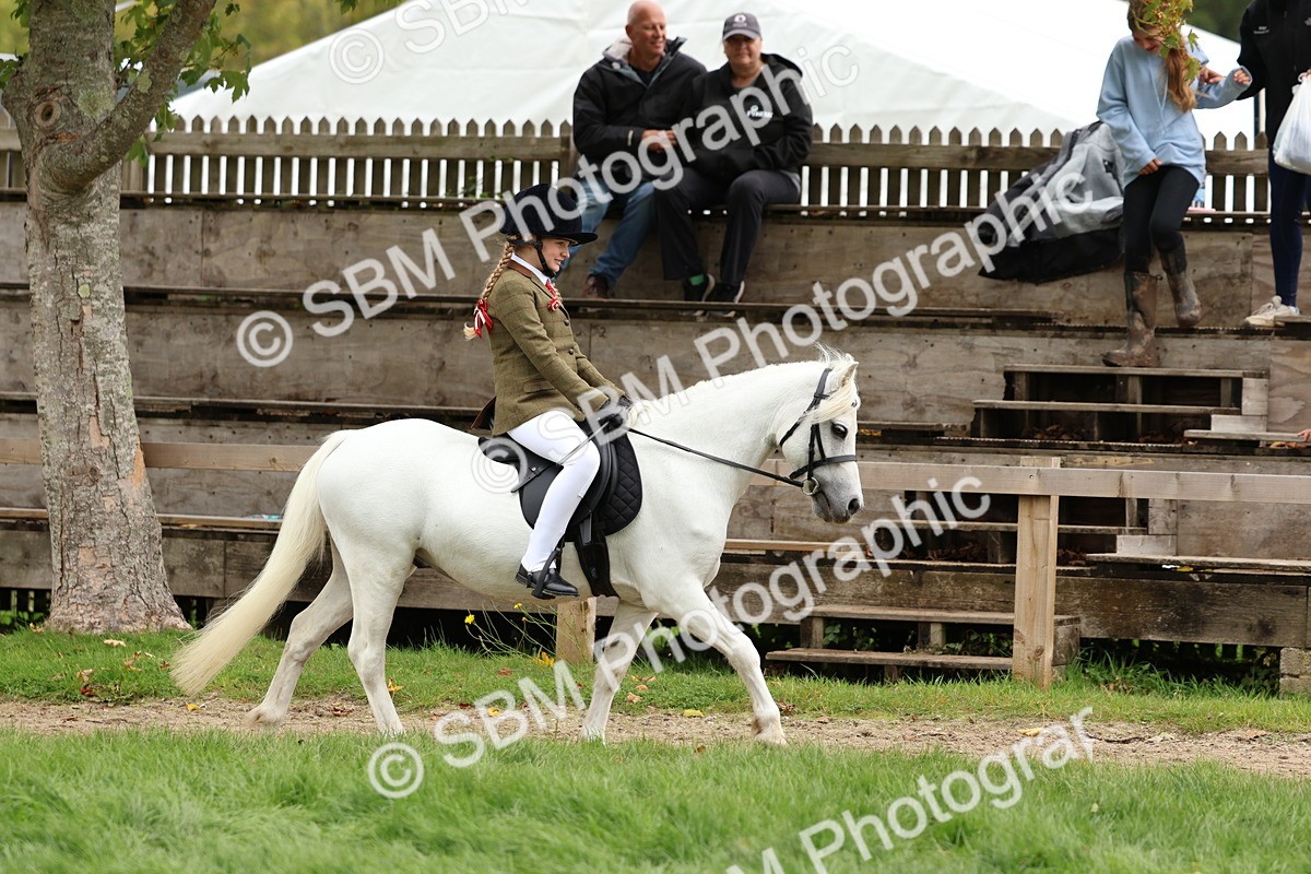 SBM_67361 - S61 - Mountain & Moorland Ridden